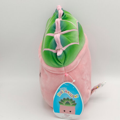 Afiyah the Succulent - 8 inch Squishmallow (Incl. Adoptiecertificaat)