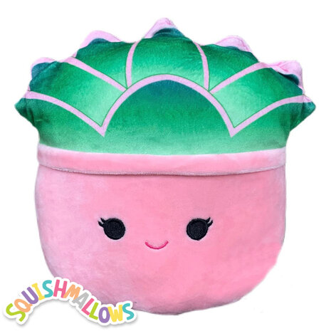 Afiyah the Succulent - 8 inch Squishmallow (Incl. Adoptiecertificaat)