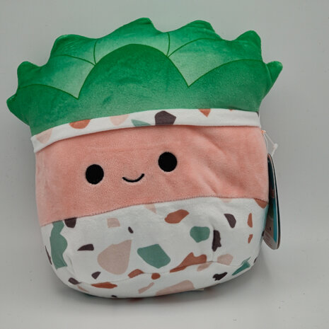 Abena the Succulent - 8 inch Squishmallow (Incl. Adoptiecertificaat)